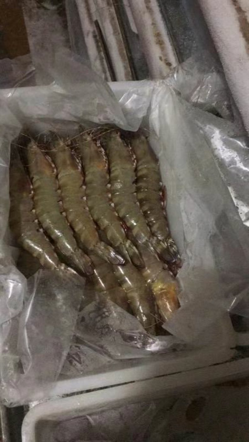 黑虎虾