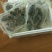 断海参食用即食大连