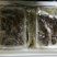 断海参食用即食大连
