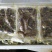 断海参食用即食大连