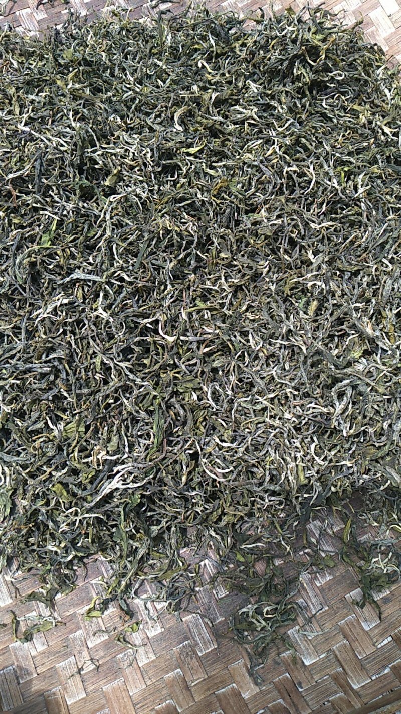 绿茶