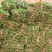 草坪草基地直销价格优惠