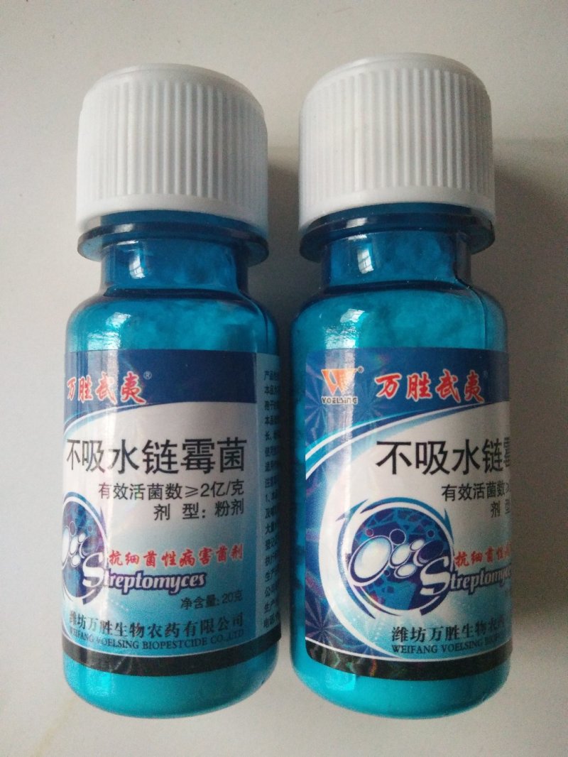 万胜武夷不吸水链霉菌细菌性病害角斑病青枯病微生物菌剂
