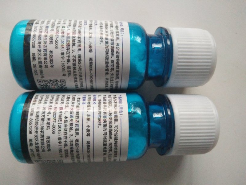 万胜武夷不吸水链霉菌细菌性病害角斑病青枯病微生物菌剂