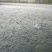 雅安汉源县皇木镇，高山冷水四大家鱼大量上市批发：