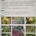 万胜武夷不吸水链霉菌细菌性病害角斑病青枯病微生物菌剂