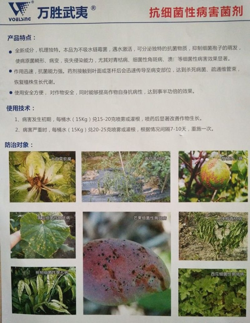 万胜武夷不吸水链霉菌细菌性病害角斑病青枯病微生物菌剂