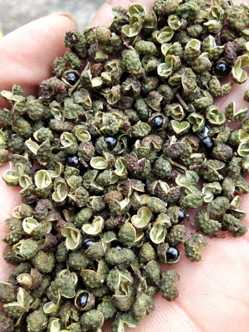 0差评麻椒青花椒主厨之选川菜必备包邮