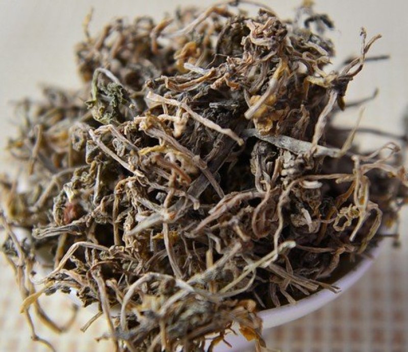 垂盆草河南批发各种规格中药材