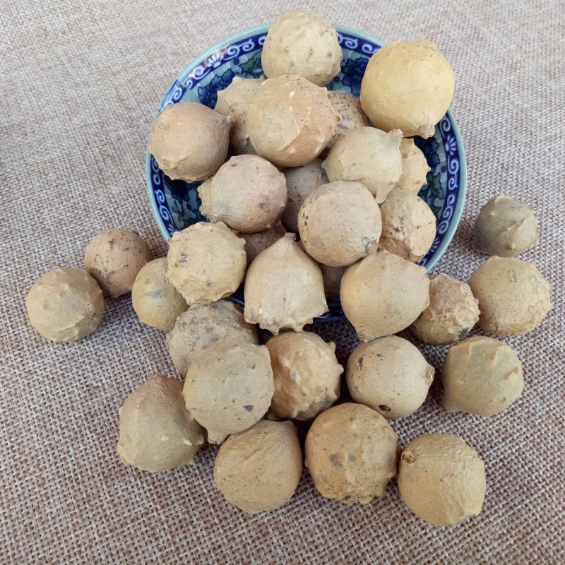 没食子进口希腊批发各种规格中药材
