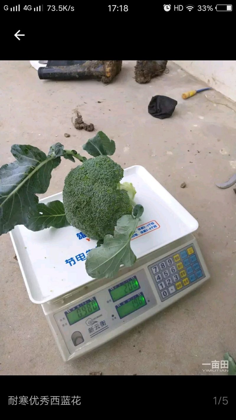 炎秀
