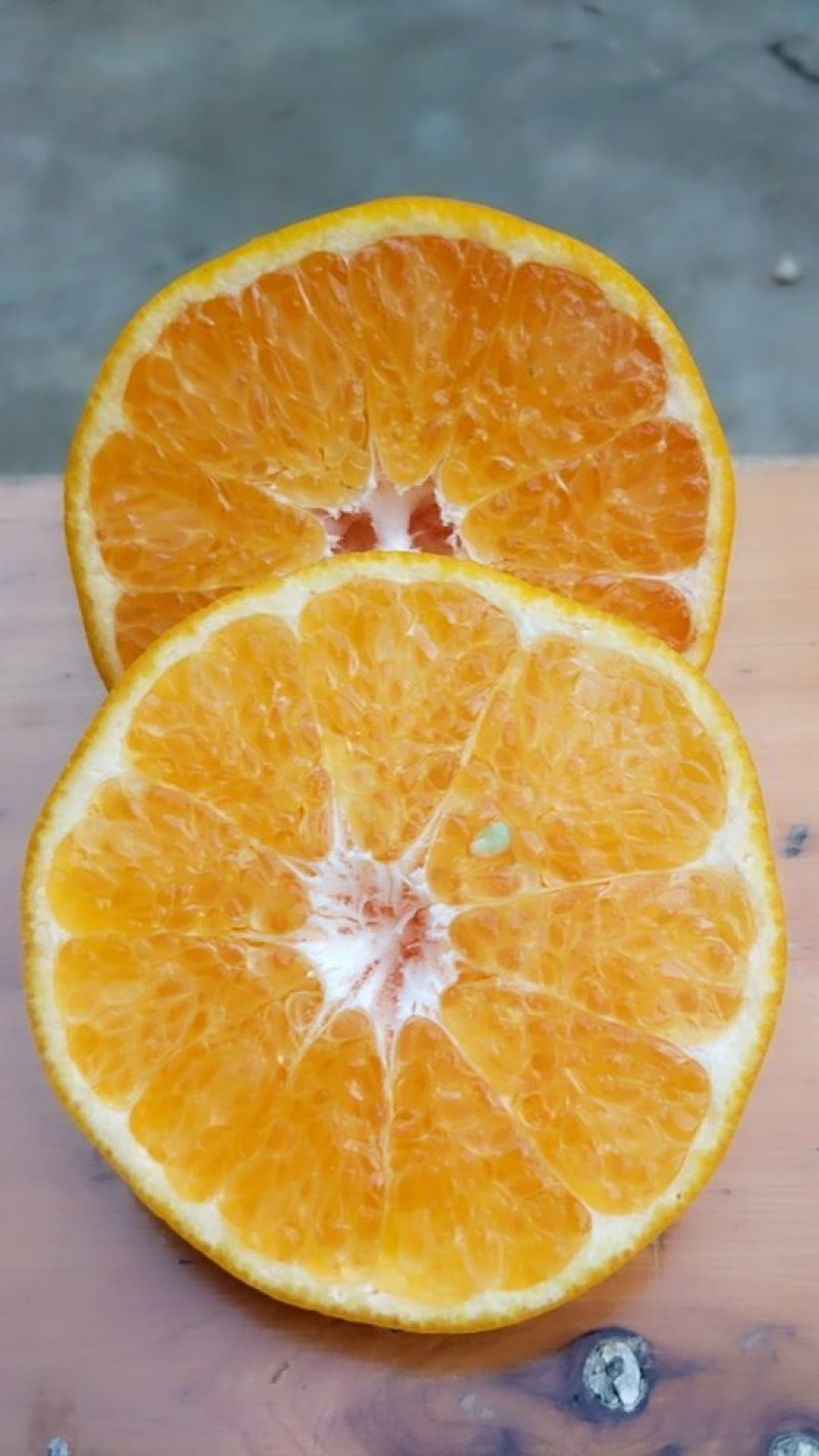 春见耙耙柑