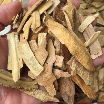 炙鳖甲正品批发各种规格中药材