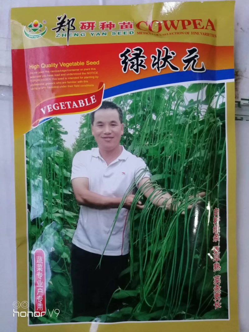 郑研绿状元豆角种子虹豆种子长虹豆种子。