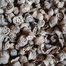 藕节湖北药用批发各种中药材批发零售各种草药
