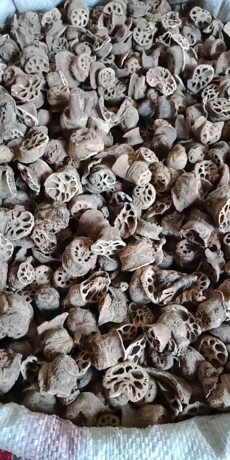藕节湖北药用批发各种中药材批发零售各种草药
