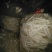 通草干品大通草成品非小通草优质通草