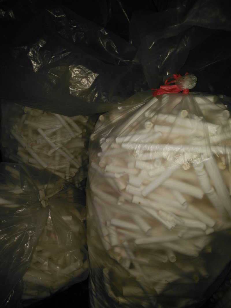 通草干品大通草成品非小通草优质通草