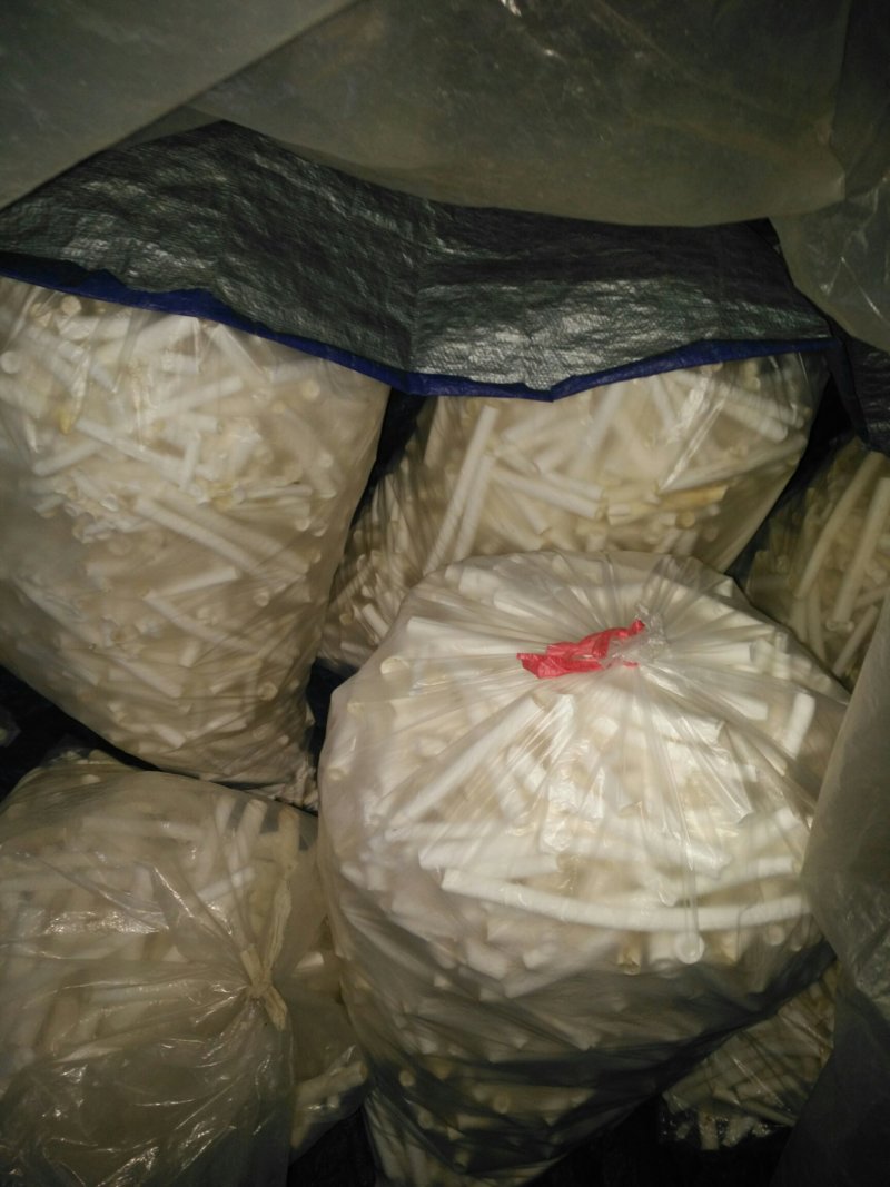 通草干品大通草成品非小通草优质通草