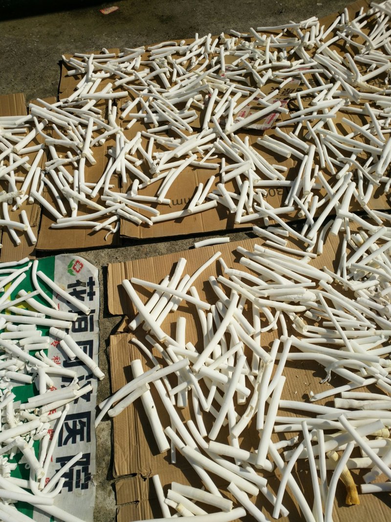 通草干品大通草成品非小通草优质通草