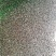 侧柏种子.柏树种子保出芽率90%以上货发全国各地