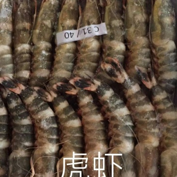 虎虾