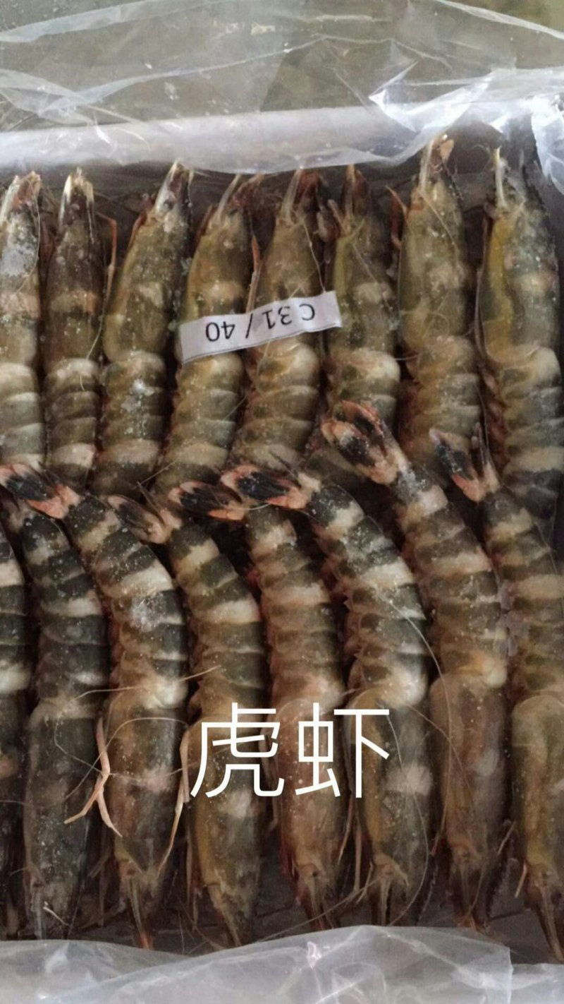 虎虾
