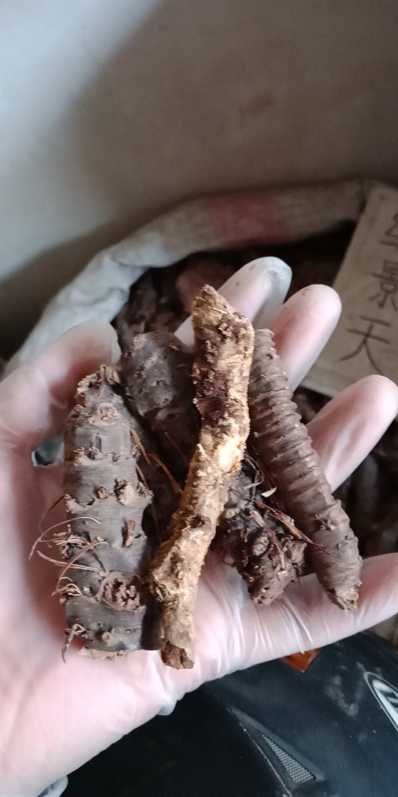 红景天西藏统个批发各种中药材批发零售各种规格