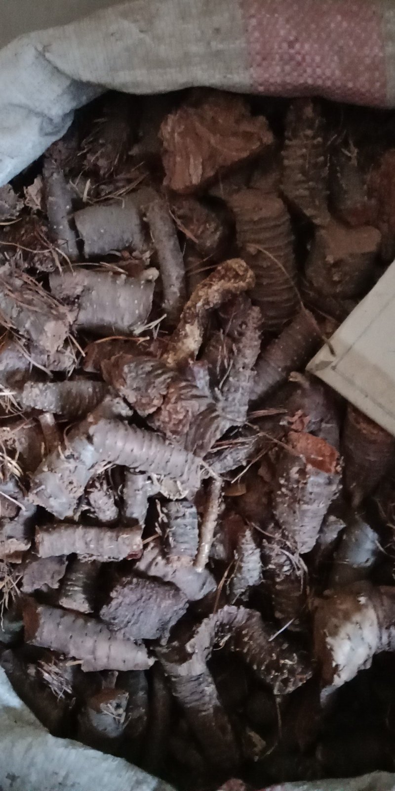 红景天西藏统个批发各种中药材批发零售各种规格
