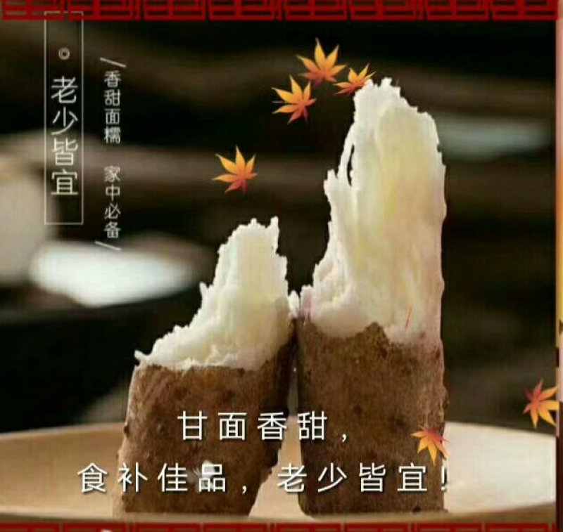 温县铁棍山药，产地直销