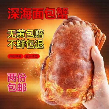面包蟹1.2斤/只2份包邮