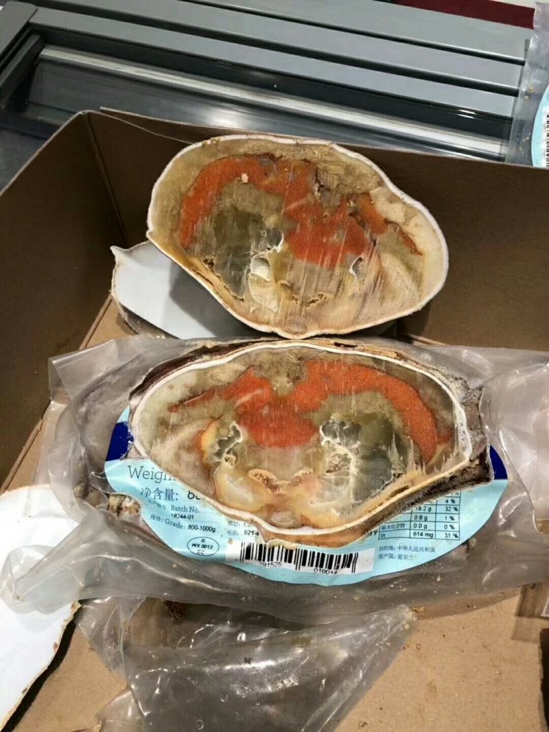 面包蟹1.2斤/只2份包邮