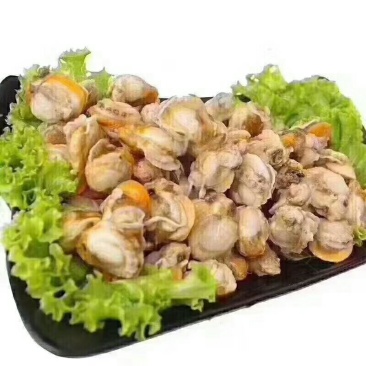 扇贝肉一箱5斤
