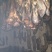 腊肉