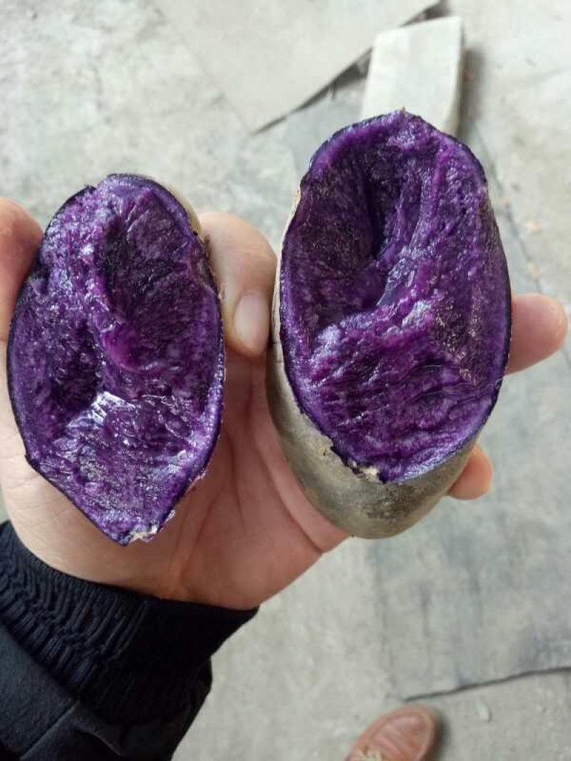 黑金刚紫土豆，电商社团一件代发！微商新品爆品