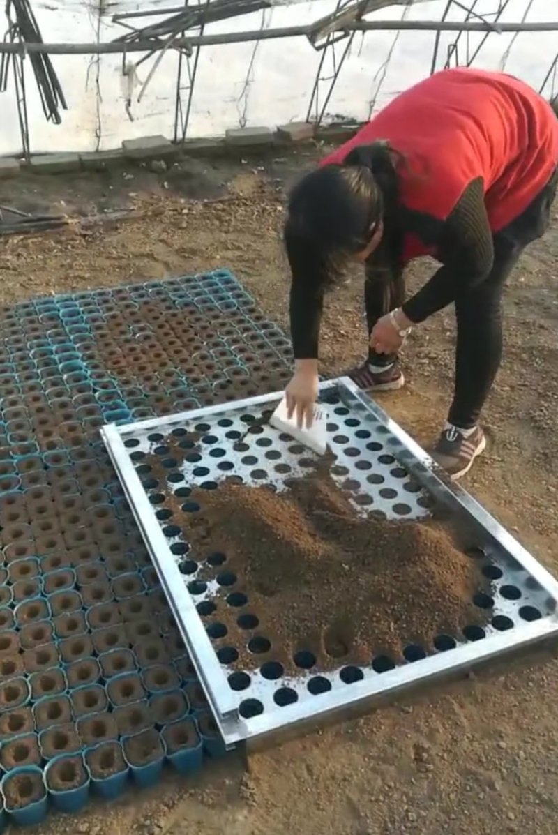 育苗杯，营养钵快速装土神器
