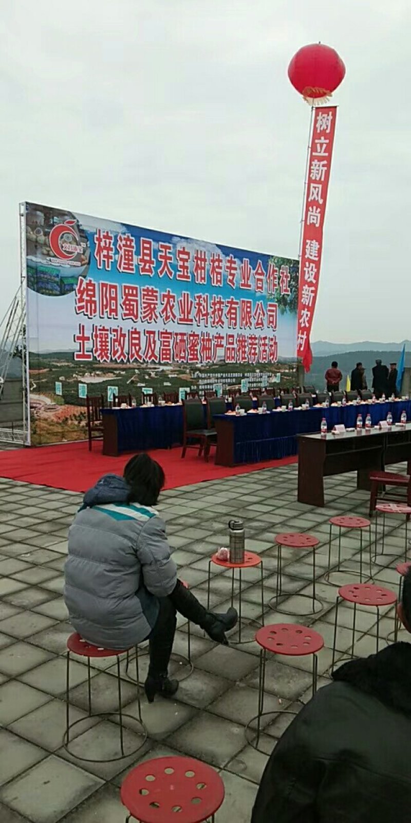林地100亩合作开发或出租30年。