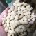 炒白扁豆