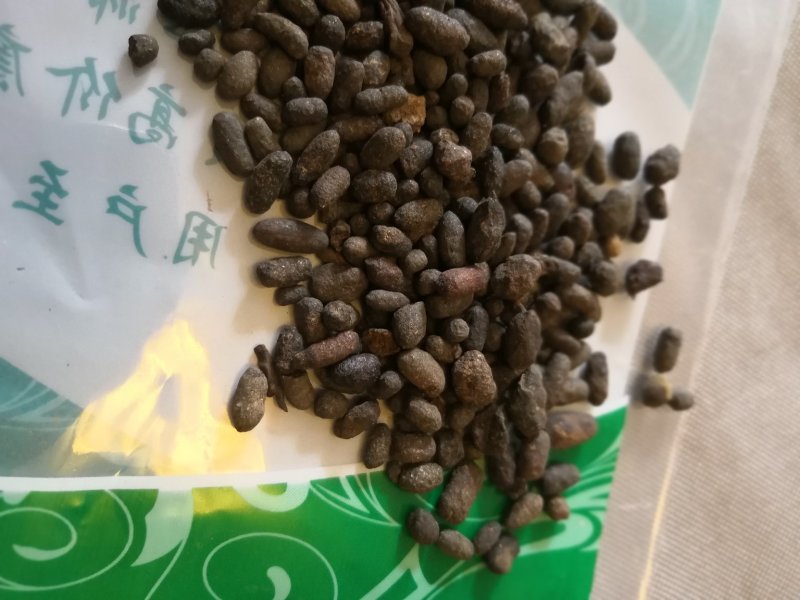 炒五灵脂