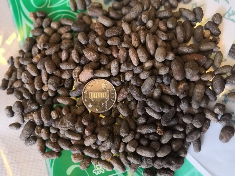 炒五灵脂