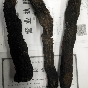 肉从容大芸批发各种规格中药材