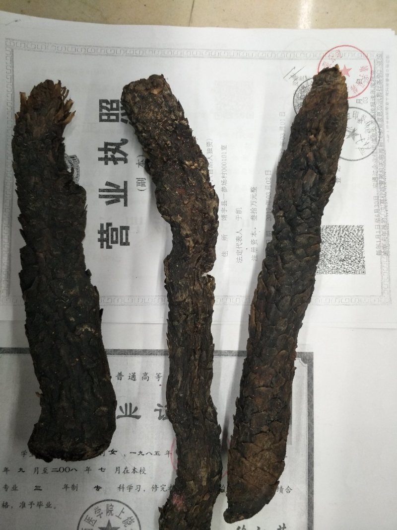 肉从容大芸批发各种规格中药材