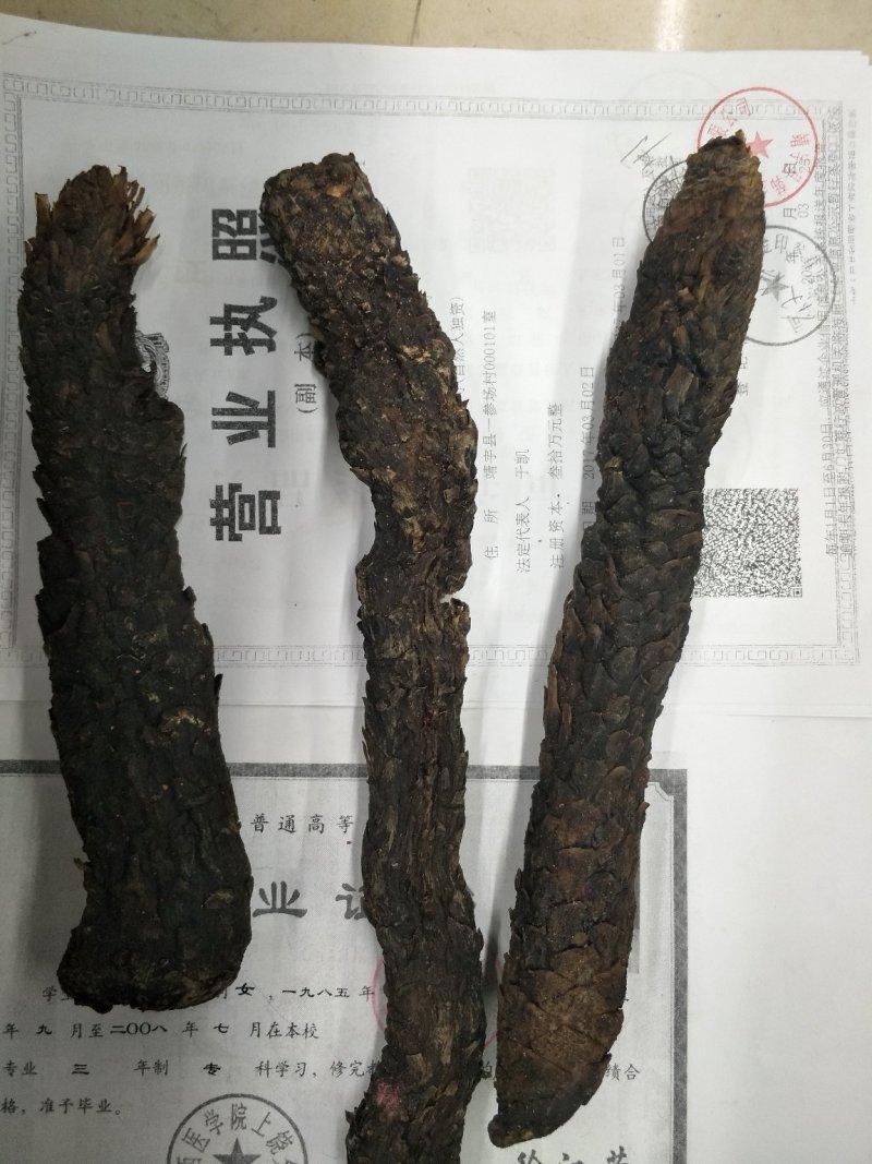 肉从容大芸批发各种规格中药材