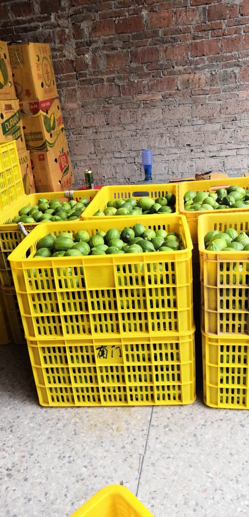 广东香水柠檬青果，黄果
