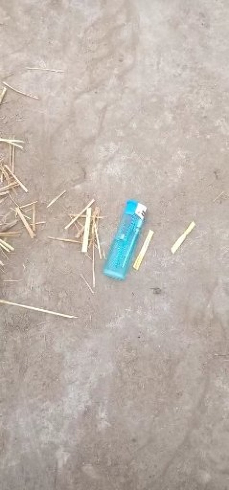 稻草秸秆