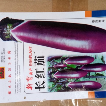 长红茄子种子长茄种子烧烤茄种子茄子种子红茄种子颜色好纯度