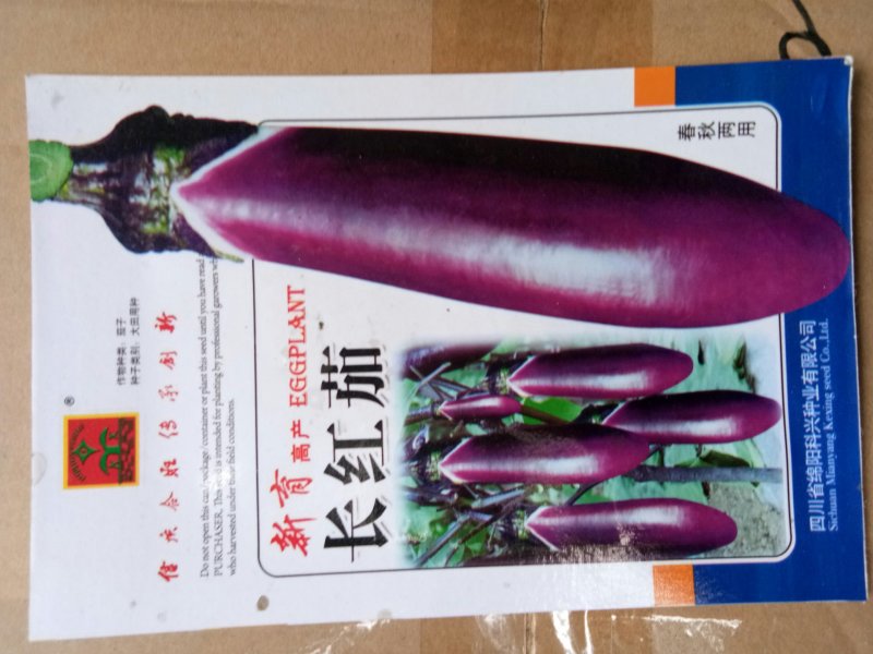 长红茄子种子长茄种子烧烤茄种子茄子种子红茄种子颜色好纯度