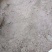 稻壳