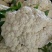 优质福建花菜-颜色白青梗白面散花松花菜椰花菜实力代办
