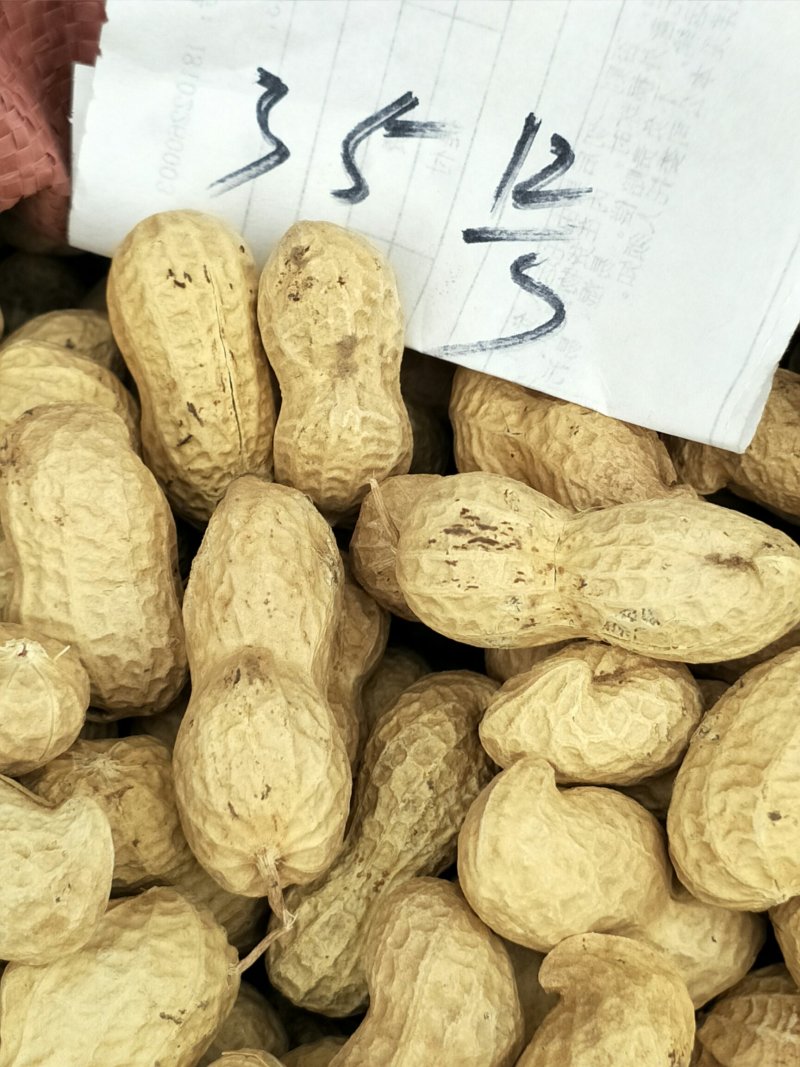 花生果手剥花生米子芽双仁果